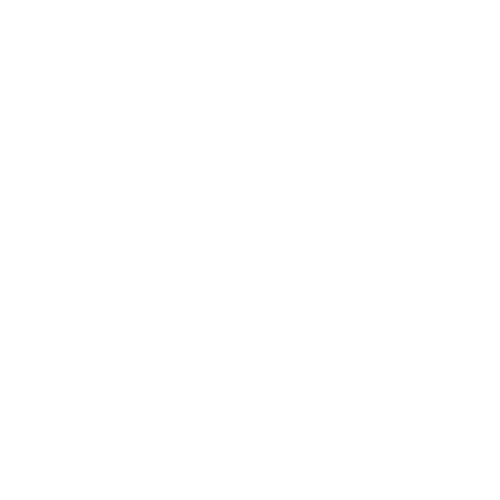 BlueBird Magic Kingdom Logo